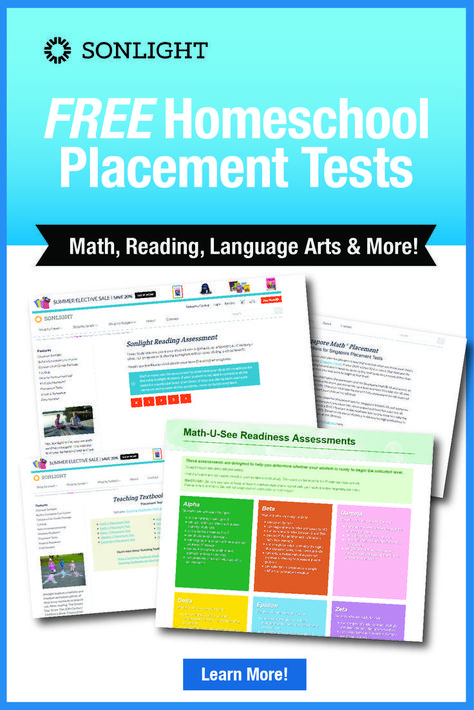 No assessment is perfect, but the results from these free tests, combined with what you already know about your child, can help you choose the best level of study. • choosing homeschool curriculum • #math #languagearts #reading #assessment #tests #homeschooling Homeschool Assessments, Sonlight Homeschool, Art Homeschool, Art Rubric, Art Elementary, Christian Homeschool Curriculum, Art Rooms, Free Homeschool Curriculum, Student Assessment