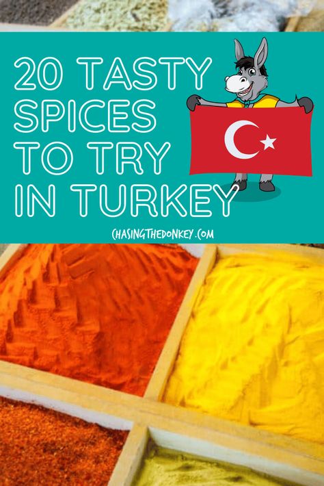 Turkey Travel Blog: From sumac to cumin, we've rounded up the top must-have Turkish spices that will bring a burst of flavor to your home. Here is your guide to the top 20 spices from Turkey to bring home with you. All these Turkish spices can be used in your kitchen. #Turkey #Turkiye #TravelTips #BalkanTravel Spice Guide, Turkish Spices, Turkey Spices, Beautiful Vacation Destinations, Balkans Travel, Spice Mix Recipes, Best Vacation Spots, Homemade Spices, East Europe