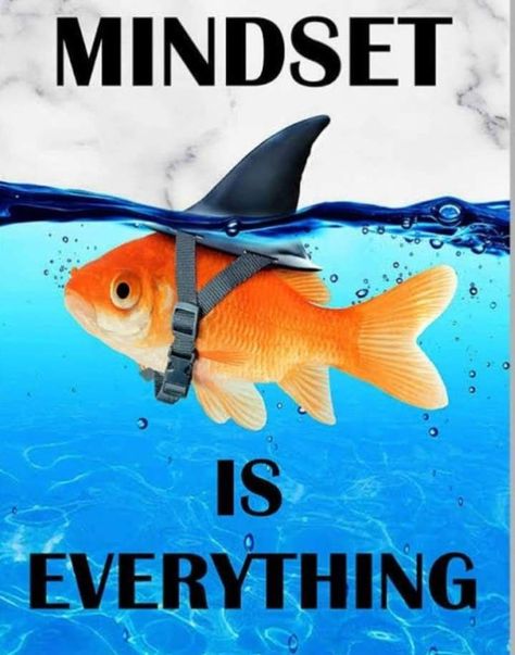 Mindset Is Everything, Canvas Art Quotes, Inspirational Quotes Posters, Quote Canvas, Motivational Prints, Inspirational Quotes Pictures, Wall Decor Pictures, Motivational Wall Art, Motivational Art