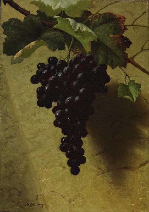 Andrew Way still life. Lines and Colors post: http://linesandcolors.com/2016/12/19/eye-candy-for-today-andrew-way-still-life/ Grape Oil, Grape Painting, John Henry, Still Life Oil Painting, Grape Bunch, Fruit Painting, Still Life Art, Still Life Painting, Art History