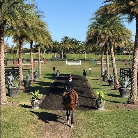 In Wellington, Florida, Roseview Farms is Filled with Charm & Character - STABLE STYLE Wellington Florida Equestrian, World Equestrian Center, Sims 3 Equestrian, Large Water Features, Diff Aesthetics, Stable Yard, Barn Inspiration, Stable Style, Wellington Florida