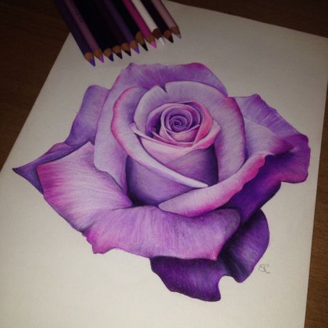 3d Flower Drawing Art, Rose Color Pencil Drawing, Rose Drawing Colored Pencil, Colored Pencil Rose, Beautiful Flower Drawings Colour, Color Pencil Art Flowers, Flowers Drawing Realistic, Rose Drawing Color, Rose Leaves Drawing