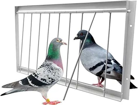 Racing Pigeon Trap Door,15.8in* 10.2in Pigeon T-Trap Entrance House Loft Door,Bird Cage Door,Pigeon Pigeon Cage Ideas, Racing Pigeon Lofts, Pigeon Loft Design, Pigeon Cage, Bird Trap, Loft Door, Pigeon Loft, Racing Pigeons, Trap Door