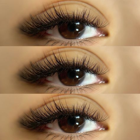 Hybrid Eyelash Extensions Hybrid Eyelash Extensions, Hybrid Lashes, Almond Eyes, August 12, Lash Extensions, Eyelash Extensions, Be Perfect, Everyday Look, Eyelashes