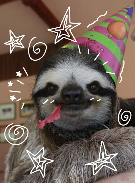 Sloth Doodle, Sloth Wallpaper, Pfp Pics, Sloths Funny, Wild Animals, Sloth, Funny Cute, Animals Wild, Cute Animals