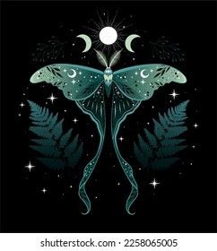 Lunar Moth Design, Luna Moth Moon Phase Tattoo, Moon Moth Tattoo Design, Luna Moth Drawing Simple, Luna Moth Tattoo Ideas, Celestial Moth Tattoo, Dark Butterfly Aesthetic, Lunar Moth Art, Moon Moth Art