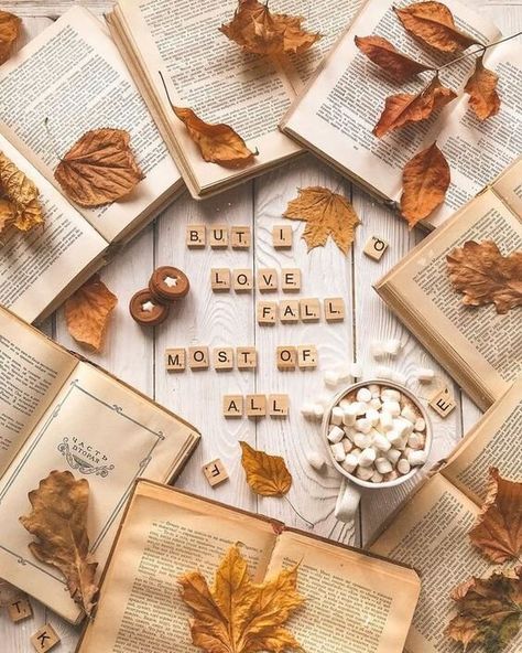 Autumn Flatlay, Fall Aesthetics, Fall Boards, Fall Mood Board, Autumn Love, Fall Mood, Fall Feels, Autumn Halloween, Autumn Vibes