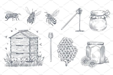 Honeycomb Drawing, Honeycombs Drawings, Wasp Insect, Honey Bee Pollen, Honey Farm, Bee Drawing, Drawing Vector, Bee Tattoo, Bee Pollen