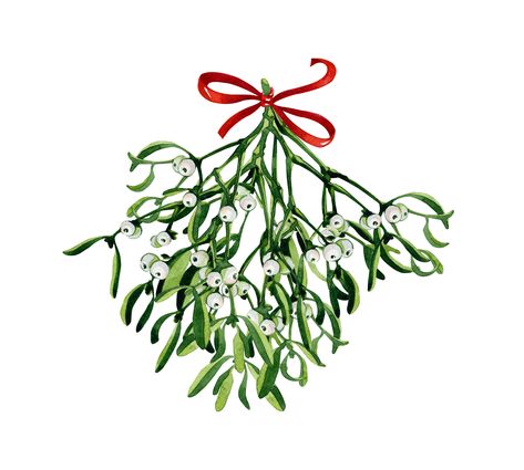 The Curious History (or KISStory) of Mistletoe Mistletoe Images, Mistletoe Plant, Celtic Druids, Christmas Branches, Norse Goddess, Holiday Songs, Under The Mistletoe, Sacred Symbols, Classic Holiday