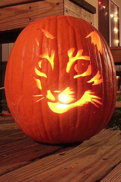 Cat Pumpkin | One of the pumpkins I carved this year. On an … | Flickr Cat Pumpkin Carving, Cat Pumpkin Design, Dekorasi Halloween, Halloween Pumpkin Carving Stencils, Pumkin Carving, Halloween Decor Diy, Creative Pumpkin Carving, Pumpkin Carving Designs, Labu Halloween