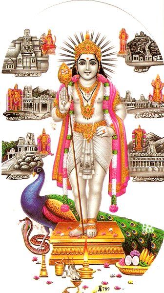 madras temple gods and goddess | ... Swamy Picture and the famous Palani Hill Temple in the background God Murugan, Lord Murugan Wallpapers, Lord Siva, Happy Navratri Images, Lord Balaji, Indian God, Durga Images, Lakshmi Images, Lord Shiva Hd Wallpaper