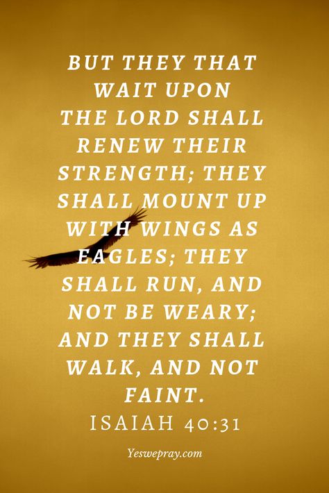 They That Wait Upon The Lord, Those That Wait Upon The Lord, They That Wait Upon The Lord Shall Renew, Scriptures On Peace, John 3 16 Verse, Scripture Affirmations, Waiting On The Lord, The Effectual Fervent Prayer, Wait On The Lord