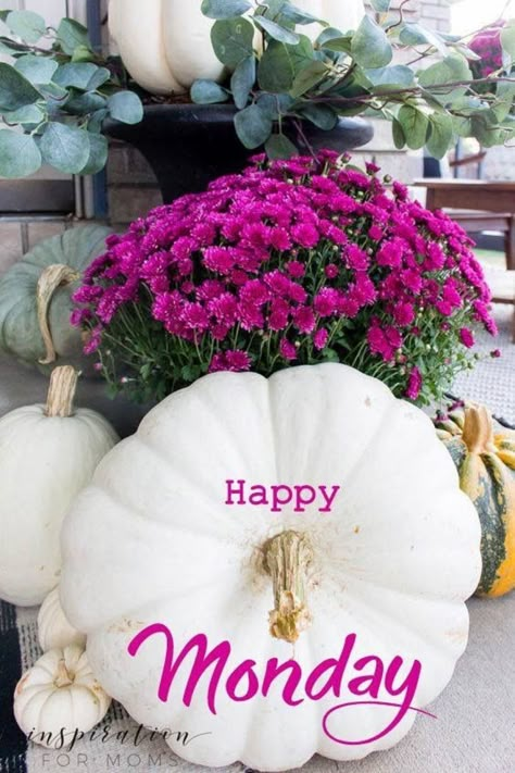 Happy Monday Fall, Good Morning Monday Images, Morning Monday, Monday Quotes, Good Morning Greetings, Morning Greeting, Happy Weekend, Happy Fall, Happy Monday