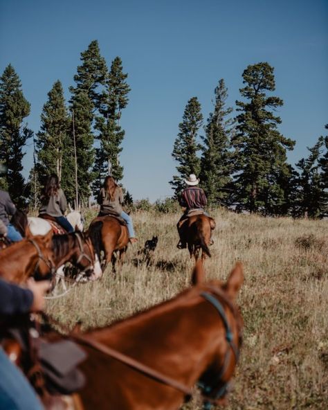 Dude Ranch Vacation, Dude Ranch Vacations, Ranch Vacation, Montana Vacation, Going Off The Grid, Guest Ranch, Big Sky Country, The Dude, Dude Ranch