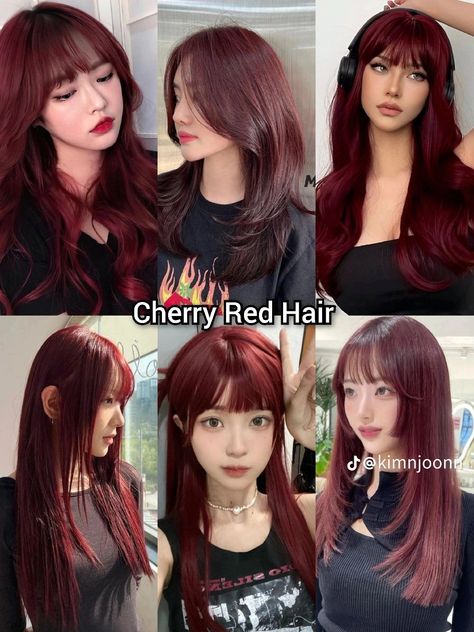 Asian With Red Hair, Hair Color Ideas Dark Brown, Halo Hair Color, Red Cherry Hair, Red Halo Hair, Hair Color With Bangs, Asian Red Hair, Red Hair Streaks, Hair Color Ideas Dark