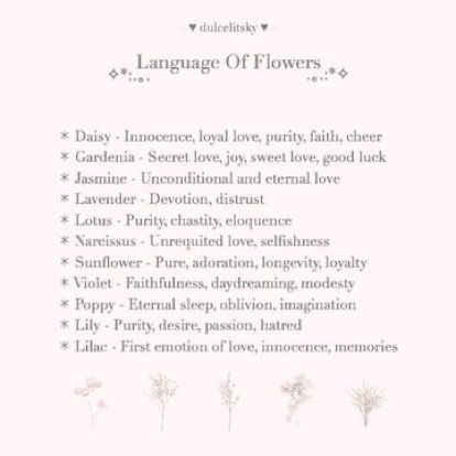 The Language Of Flowers, Angel Aesthetic, Favorite Flower, Language Of Flowers, Classy Aesthetic, Princess Aesthetic, Aesthetic Words, Secret Love, Eternal Love