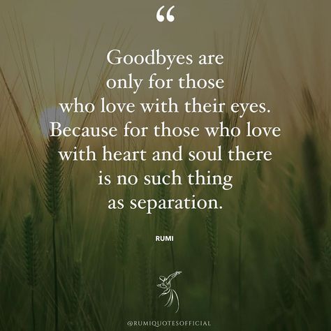 Rumi Quotes Official on Instagram: “Goodbyes are only for those who love with their eyes. Because for those who love with heart and soul there is no such thing as separation.” Best Rumi Quotes, Rumi Quotes Life, Rumi Quotes Soul, Rumi Poem, Goodbye Quotes, Rumi Poetry, Rumi Love Quotes, Rumi Love, Life Quotes Inspirational Motivation