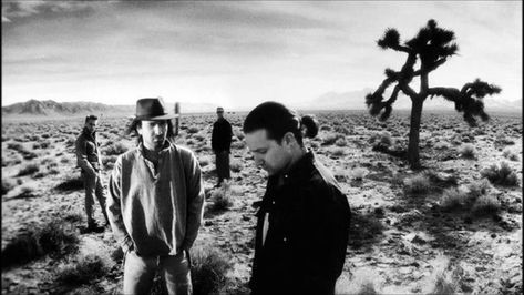 U2 wide wake in américa — wombatzoo: The Joshua Tree,  9 March 1987 U2 Joshua Tree, The Joshua Tree, Bono U2, Adam Clayton, Greatest Rock Bands, Drum Kit, Joshua Tree National Park, Band Photos, Desert Plants