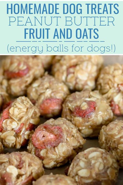 Easy-to-make homemade dog treat recipe made with just five ingredients. Peanut Butter, Fruit and Oat Balls for Dogs Recipe just takes 15 minutes to make! Peanut Butter Oat Dog Treats, Oat Dog Treats, Apple Peanut Butter, Peanut Butter Oat, Homemade Dog Cookies, Dogs Treats, Dog Treats Homemade Easy, Easy Dog Treat Recipes, Make Dog Food