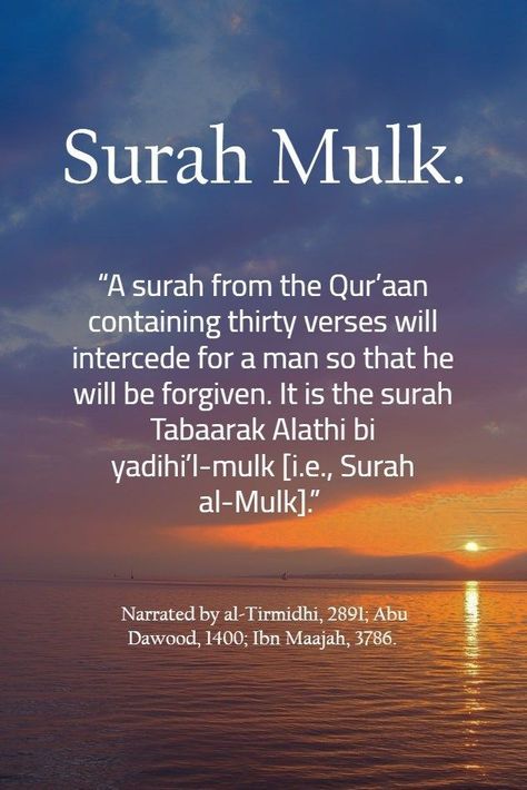 Surah Mulk Benefits, Prophet Muhammad Quotes, Muhammad Quotes, Quran Hadith, Quotes In English, Hadith Quotes, Islamic Knowledge, Learn Quran, Islamic Reminders