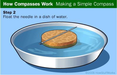 Create your own compass. Great way to learn how to read a compass and discuss the Earth's magnetic field Simple Compass, Scout Activities, A Compass, Elementary Science, True North, Geocaching, Physical Science, Science Fair, Stem Activities