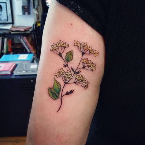 Elderflower Tattoo, Berserk Tattoos, Tatoo Inspiration, Witch Tattoo, Tattoos And Piercings, Maple Leaf Tattoo, Arm Tattoo, New Tattoos, Flower Tattoo