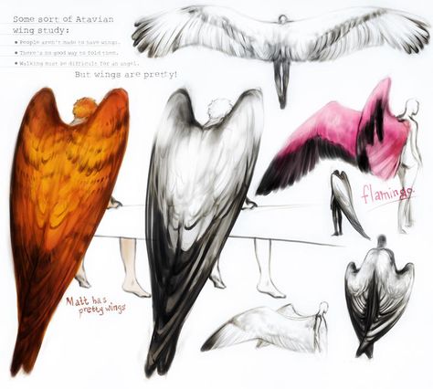 Winged People, Wings Drawing, Wings Art, Bird Wings, Different Kinds, The Wings, Creature Design, Creature Art, Drawing Techniques