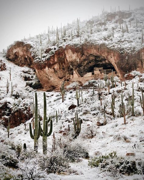 Arizona Highways on Instagram: “We’re still enjoying a look back to last week and the snow that fell on the Sonoran Desert. Even Tonto National Monument got a dusting, as…” Snow In Desert, Winter In The Desert, Snow In The Desert, Desert Inspo, Snow Desert, Demolition Lovers, Desert Snow, Card Inspo, Way To Heaven