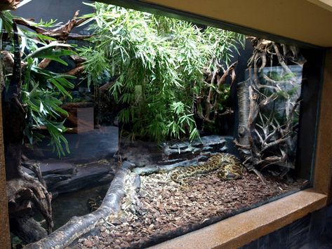 New York Zoo, Snake Terrarium, Snake Enclosure, Gecko Terrarium, Tortoise Enclosure, Zoo Architecture, Snake Tank, Tortoise Habitat, Reptile Room