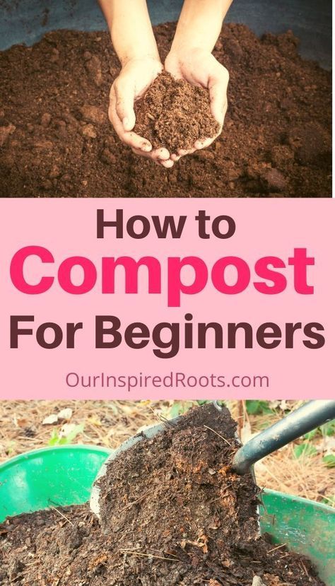 Compost For Vegetable Garden, Compost For Beginners, Planter Gardens, Compost Ideas, How To Start Composting, Start Composting, Composting 101, Composting Methods, How To Compost