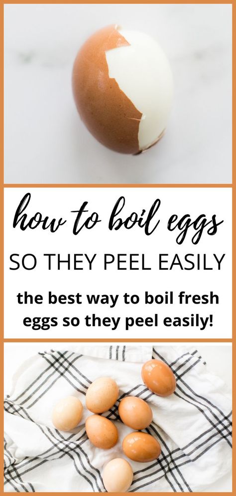 an easily peeled hard boiled egg. Boil Fresh Eggs, Hard Boil Fresh Eggs, Creative Egg Recipes, How To Boil Eggs, Hard Boiled Eggs Easy Peel, Peeling Boiled Eggs, Easy Peel Eggs, Easy Hard Boiled Eggs, Perfect Boiled Egg