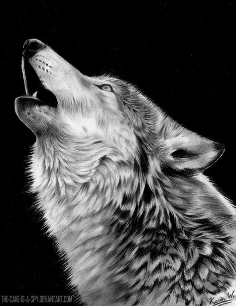 Howling Wolf by Spectrum-VII on DeviantArt Howling Wolf Tattoo, Wolf Images, Wolf Photography, Wolf Face, Wolf Tattoo Design, Wolf Photos, Wolf Wallpaper, Wolf Love, Howl At The Moon