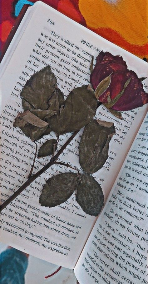 #rose #couple #love #wallpaper #book Couple Love Wallpaper, Rose Couple, Wallpaper Book, Love Wallpaper, Red Rose, Dried Flowers, Flowers, Red