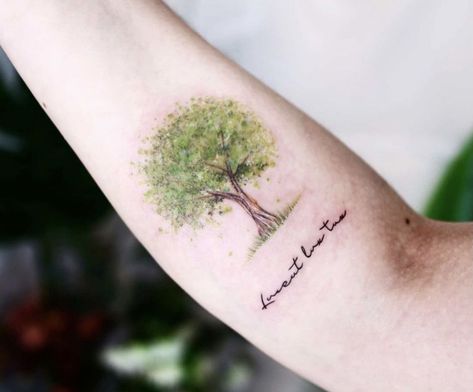 Tree Tattoo Green, Watercolor Tree Tattoo, Tattoo Trees, Tree Tattoo Color, Maple Tree Tattoos, Beautiful Spine Tattoos, Tree Roots Tattoo, Watercolor Tattoo Tree, Family Tattoo Ideas