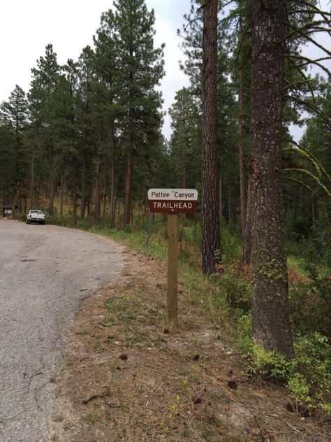 Pattee Canyon Recreation Area Trail