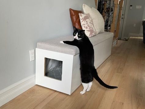 I turned a $700 bench into my cat's litter box and have zero regrets Litter Box Bench, Litterbox Solutions, Diy Litter Box, Electric Jigsaw, Wall Bench, Cleaning Litter Box, Diy Storage Bench, Condo Interior Design, Hallway Bench