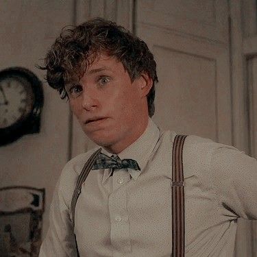 Newton Scamander, Theseus Scamander, Gender Board, Fantastic Beasts Series, Fantastic Beasts Movie, Always Harry Potter, Fantastic Beast, Hamilton Funny, Harry Potter Icons