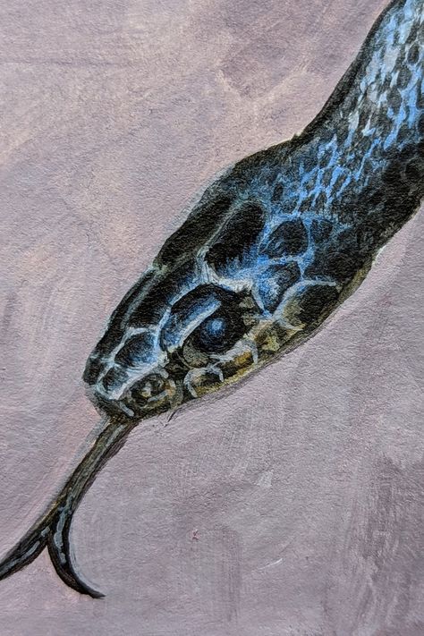 A realistic painting of a black snake. Painting Timelapse, Snake Painting, Cool Snakes, Reptile Snakes, Black Snake, Painting Process, Surreal Art, Snakes, Animal Paintings