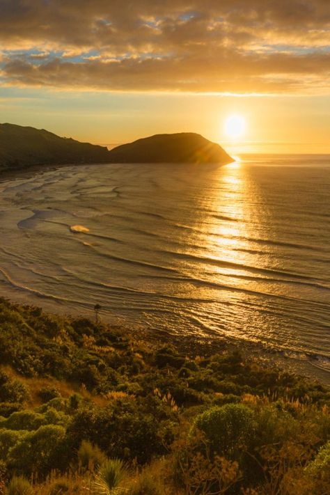 The First Light Marathon takes place in Tairāwhiti Gisborne, Aotearoa New Zealand, which is known for being the first city in the world to see the sun each day. Its spectacular coastline and the steep green hills provide a magical backdrop to this unique race. Runners will herald in the sunrise as they crest the many hills and race along the white sand beach. Gisborne New Zealand, Green Hills, The Sunrise, Morning Sun, Great Wall, Beautiful Morning, White Sand Beach, The Run, White Sand