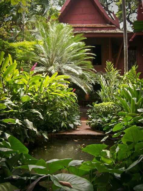 Thailand Garden, Thai Garden, Affordable Backyard Ideas, Bush Plant, Jungle Gardens, Tropical Garden Design, Asian Garden, Formal Garden, Rock Garden Landscaping