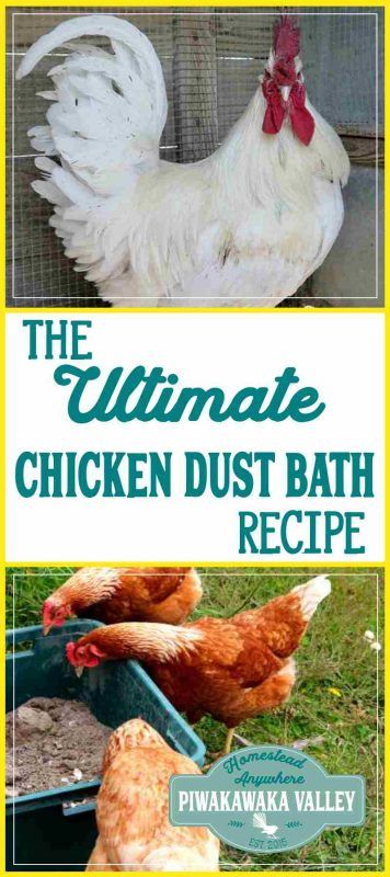 Dust Bath Recipe, Chicken Dust Bath, Dust Bath For Chickens, Chickens Coop, Hatching Chickens, Dust Bath, Chicken Farming, Backyard Chicken Farming, Chicken Health