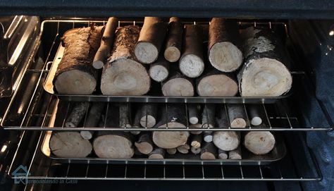 How To Dry Wood Slices In The Oven, Drying Wood Slices In Oven, Wood Bowls Decor Ideas, How To Dry Wood, Log Coffee Table, Wood Bowl Decor, Pine Needle Baskets, Wood Designs, Wood Logs