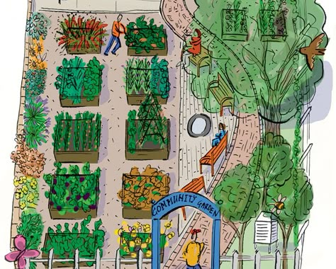 6 Steps To Starting A Community Garden  http://www.rodalesorganiclife.com/garden/6-steps-to-starting-a-community-garden Community Garden Ideas, Community Gardens, Community Living, School Garden, Community Garden, Gardening Diy, Community Center, Urban Gardening, Garden Club