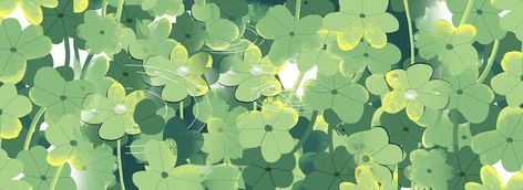 Four Leaf Clover Background, Clover Background, Background Tile, Plant Icon, Youtube Banner Backgrounds, Youtube Design, Youtube Banner, Banner Background Images, Green Theme