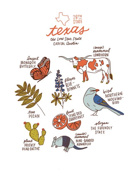 texas symbols - Google Search Texas Embroidery, Texas Illustration, Texas Symbols, Symbols Illustration, Texas Theme, Texas Tattoos, Texas Decor, State Symbols, Texas Forever