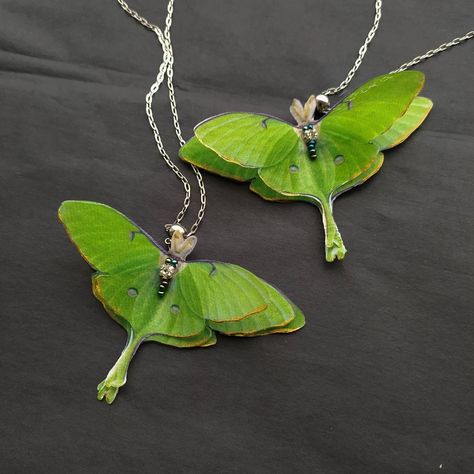 Luna moth art