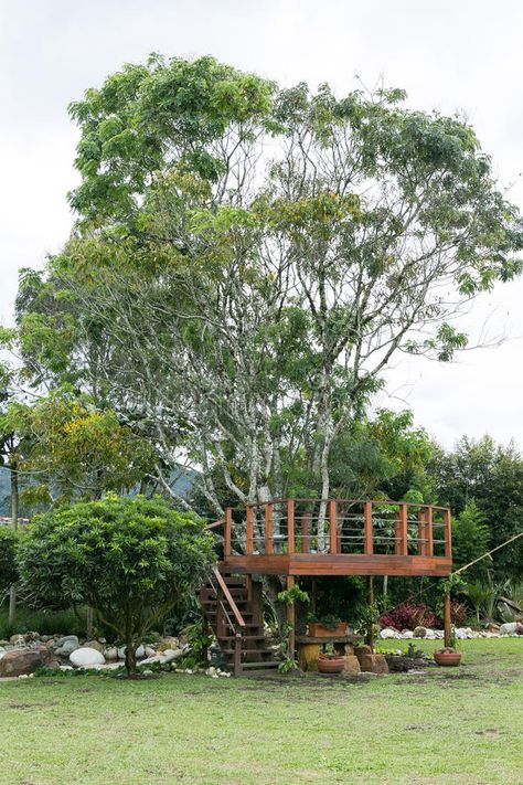 Terrace Around Tree, Tree Deck Platform, Tree Deck Ideas, Deck Around Tree Ideas, Deck Around Tree, Tree Balcony, Deck Around Trees, Tree Terrace, Tree Deck