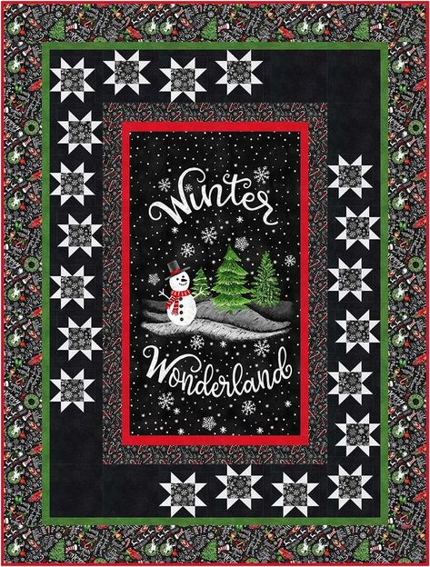 Projects / WINTER WONDERLAND - EASY STAR P Christmas Lap Quilt, Panel Quilt Patterns, Panel Ideas, Quilt Border, Quilt Stores, Quilt Binding, Star Quilt Patterns, Holiday Fabric, Flying Geese