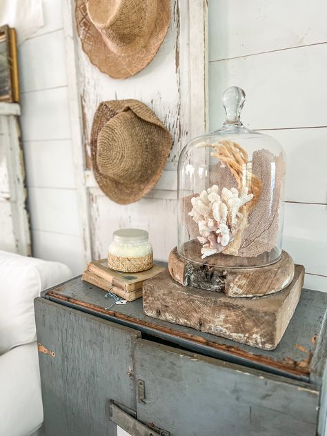 Shabby Chic Beach House, Decorating With Cloches Vignettes, Vintage Coastal Decor Living Room, Coastal Antique Decor, Vignettes Styling Display Ideas, French Coastal Style, French Coastal Decor, Marsh House, Antique Coastal