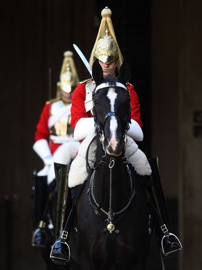 Member of the Household Cavalry prepare for inspection Horse Guards London, Elizabeth Queen Of England, Royal Horse Guards, Household Cavalry, Royal Horse, Coldstream Guards, Horse Guards, Warrant Officer, Royal Guard